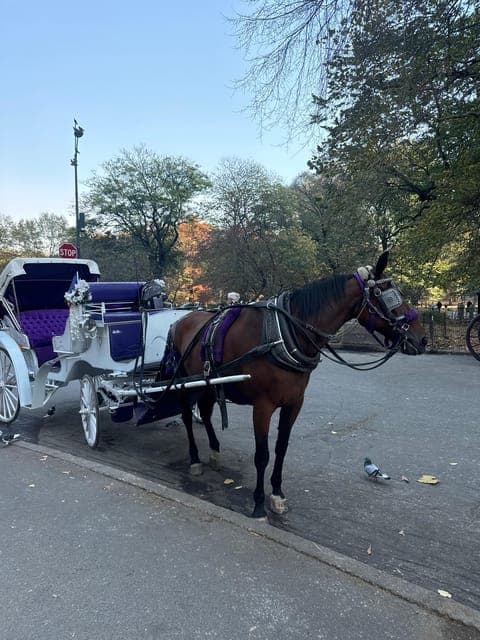 Private Central Park and NYC City Tour Gallery Image 3