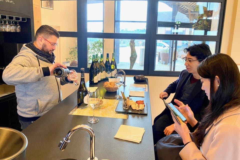 15 Burgundy Wines Chateau Pommard, Chablis Small-Group Gallery Image 2