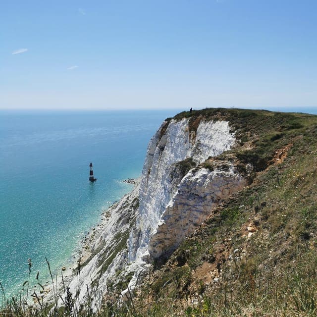 South Downs White Cliffs Day Trip with Train Tickets Gallery Image 1