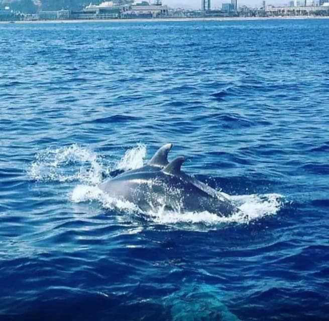 Sailing tours con capitán local, bebidas y snacks Gallery Image 3