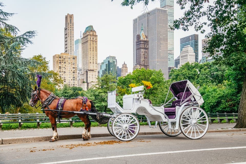 Guided Central Park Horse Carriage Ride Gallery Image 1