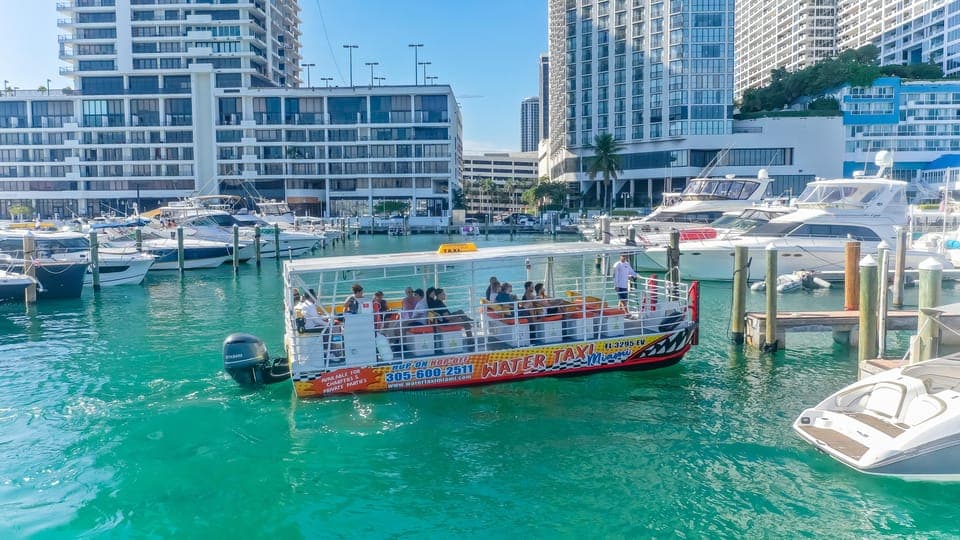 Hop-on Hop-off Water Taxi in Miami and Miami Beach Gallery Image 4