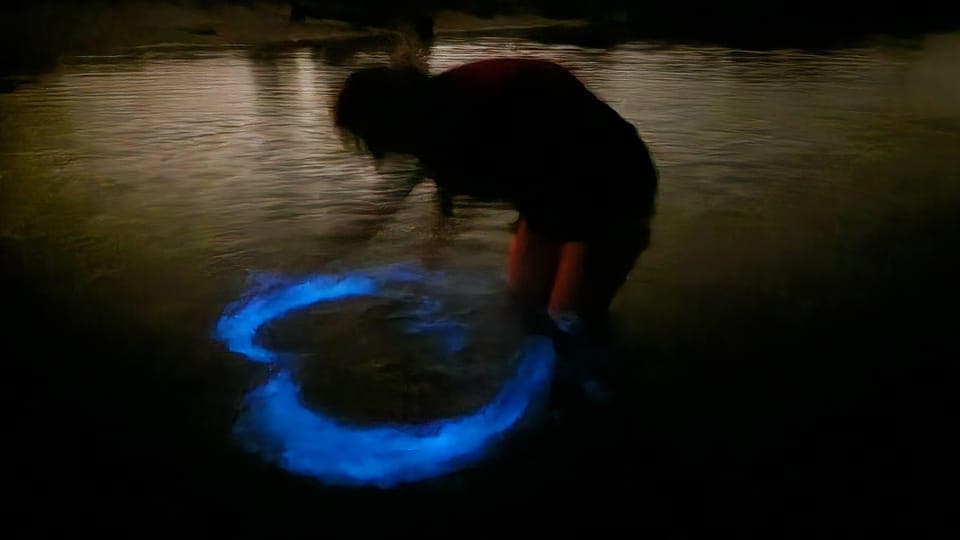 Bioluminescence Kayak Adventure Gallery Image 1