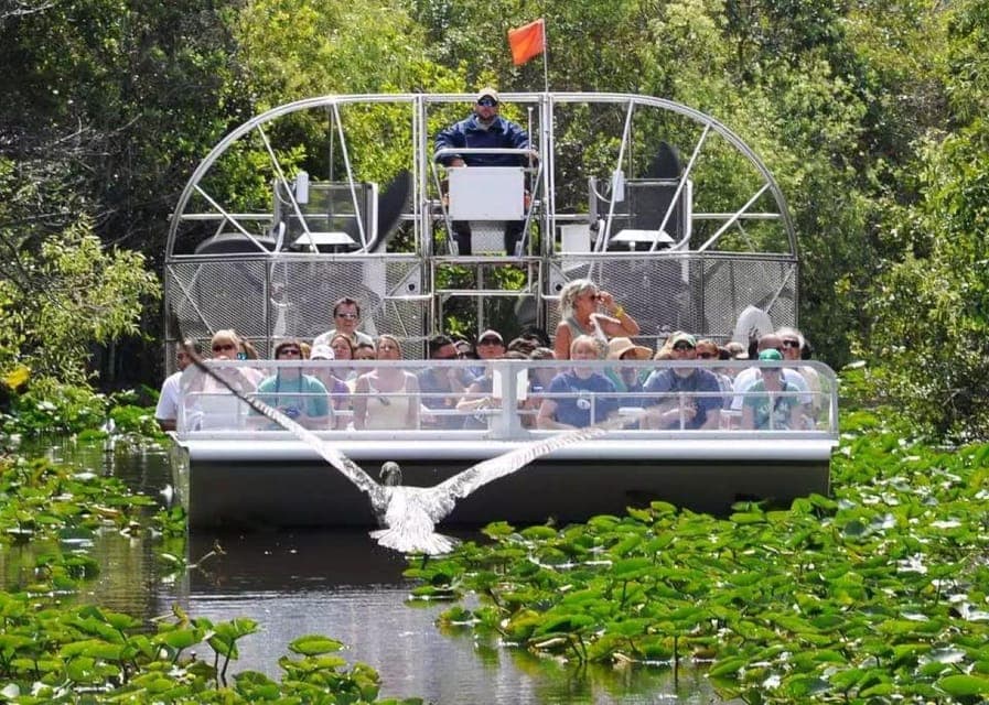 39. Miami Beach: Everglades Airboat Tours and Rides - Image 39