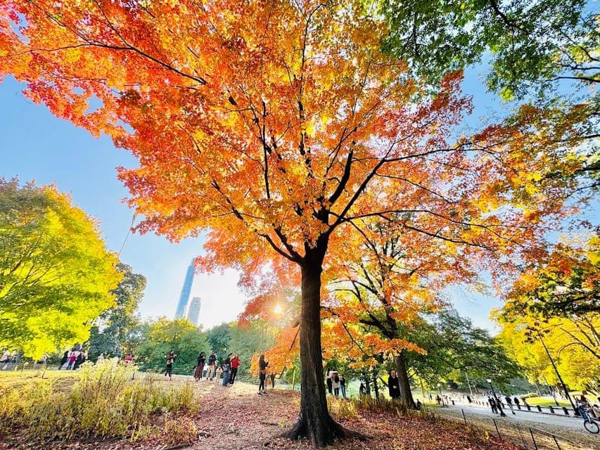 Central Park Bike Tour and E-Bike Option Gallery Image 2