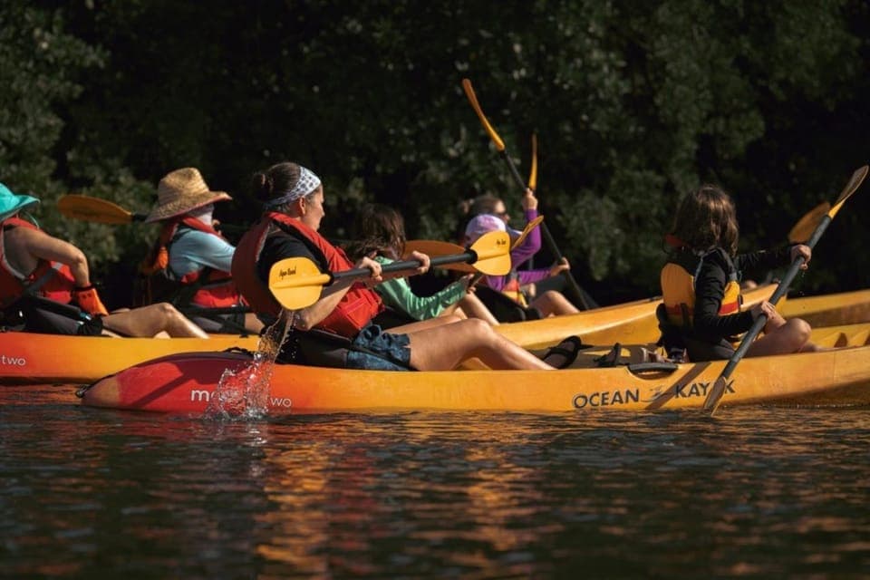 Oleta River State Park: Eco Kayak or Paddleboard Tour Gallery Image 1