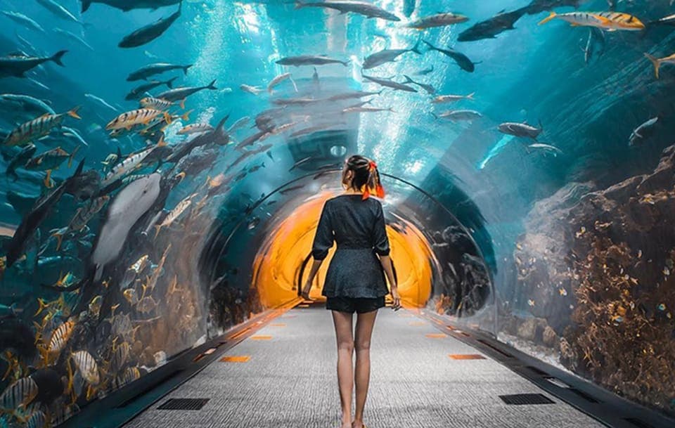 15. City Tour with Burj Khalifa and Underwater Zoo Ticket - Image 15