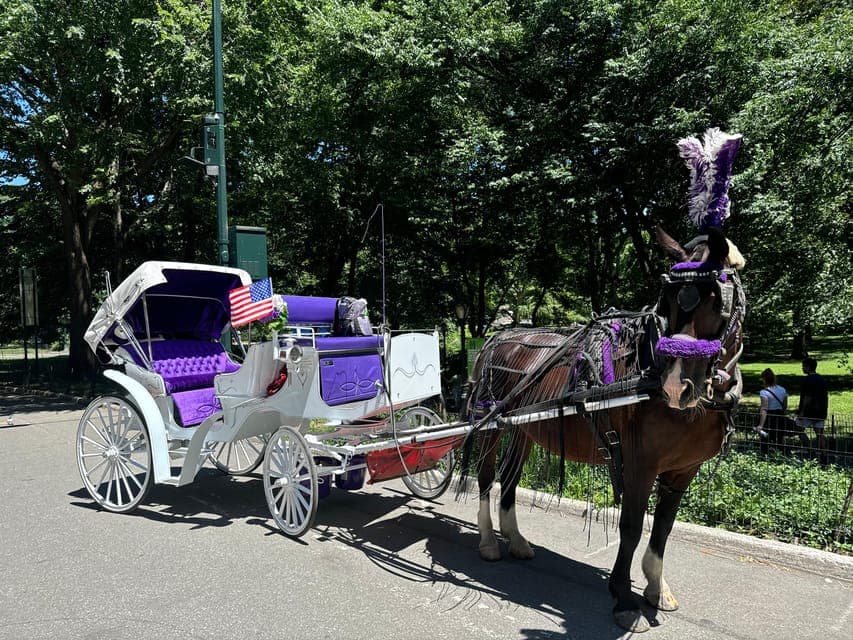 Private Central Park and NYC City Tour Gallery Image 2