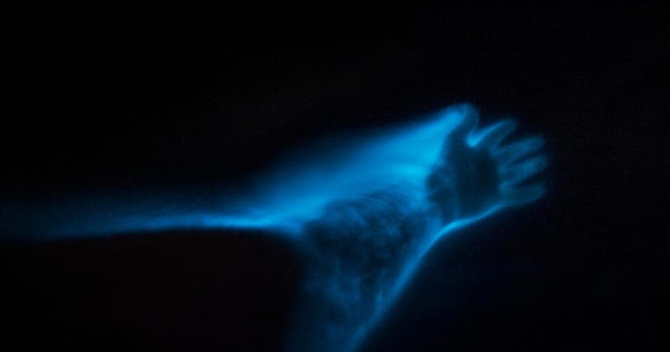 Orlando: Bioluminescence Clear Kayaking or Paddleboarding - Image NaN