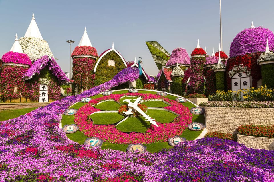 Private Dubai Frame & Miracle Garden Trip with Transfer Gallery Image 2