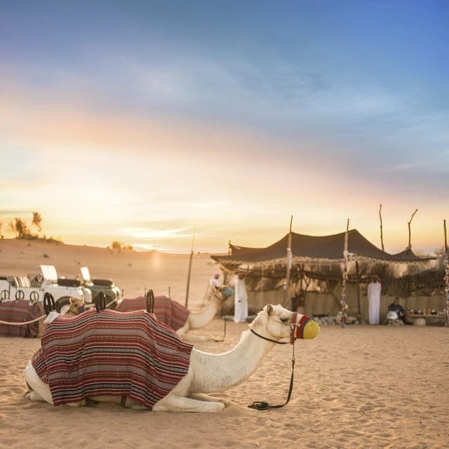 29. Dubai Morning Bedouin Culture Safari & Traditional breakfast - Image 29