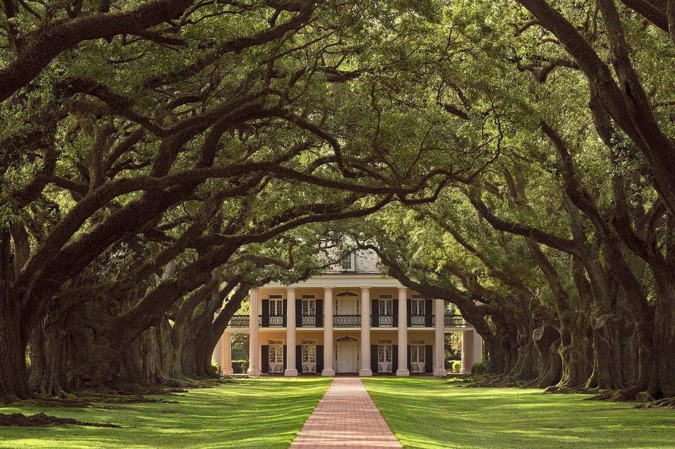 20. Oak Alley Plantation Half Day Tour - Image 20