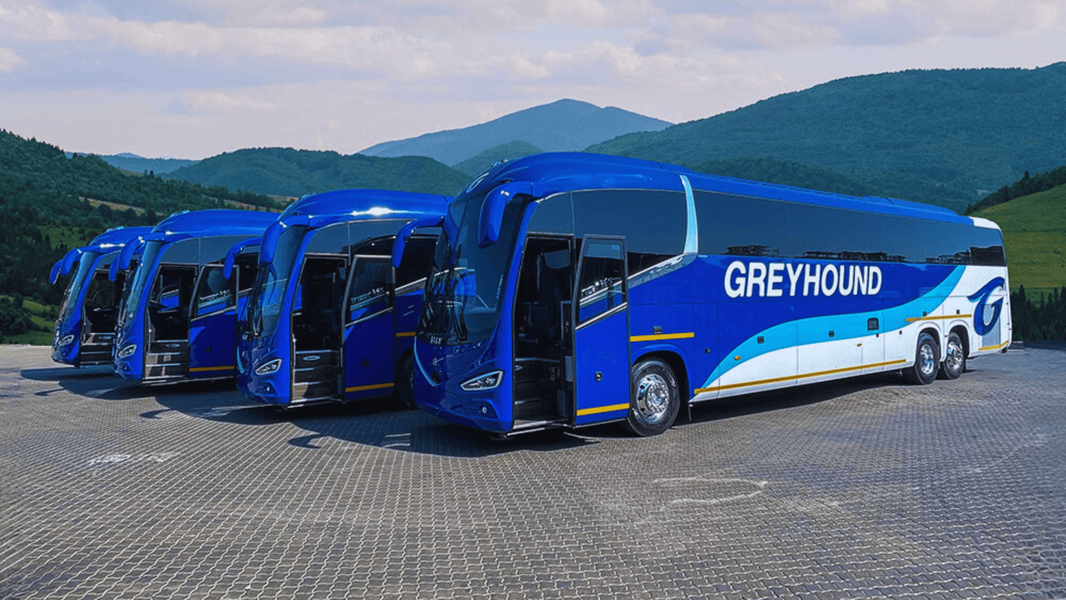 Greyhound South Africa background