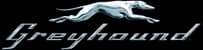 Greyhound Greyhound