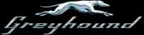 Greyhound Greyhound logo