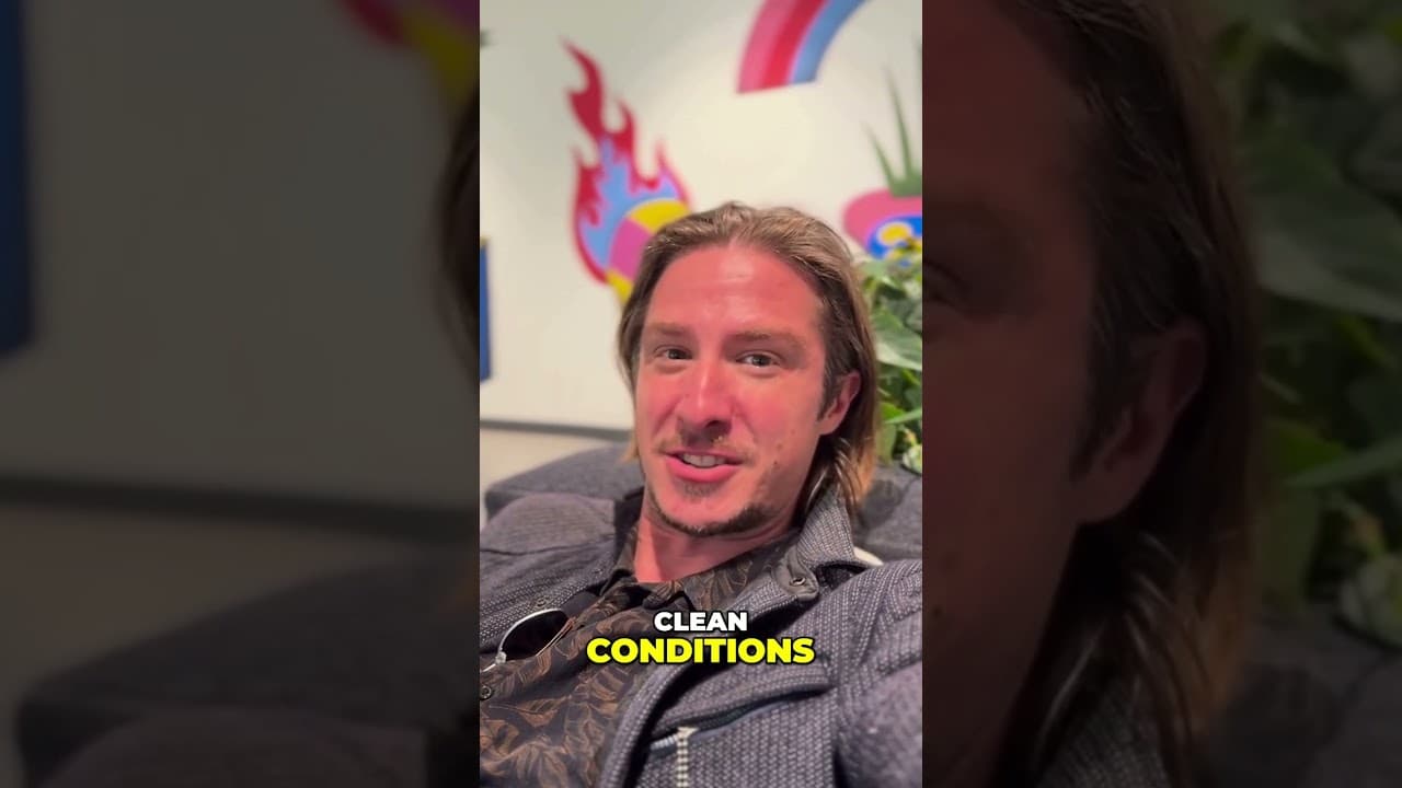 City to City bus: You should know this before booking!