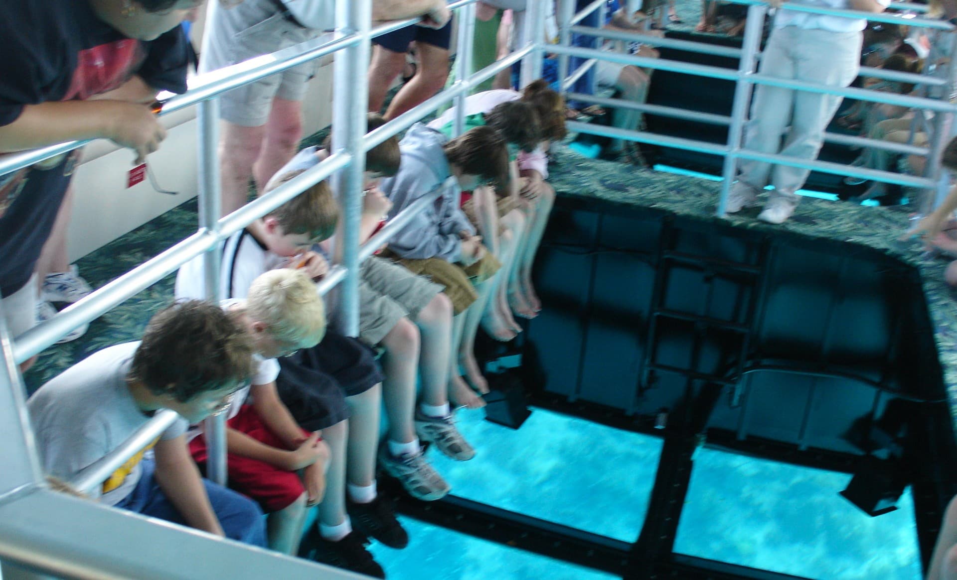 Glass Bottom Boat Cruise Gallery Image 2