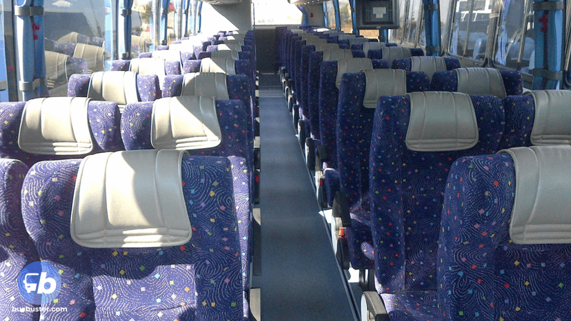 Bus from Cape Town to Idutywa - R355 for APM WC tickets | BusBuster